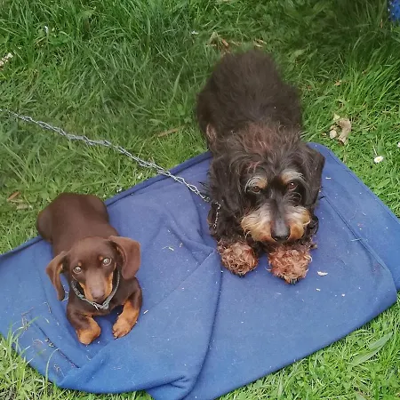 דירה Alte Forsterei *