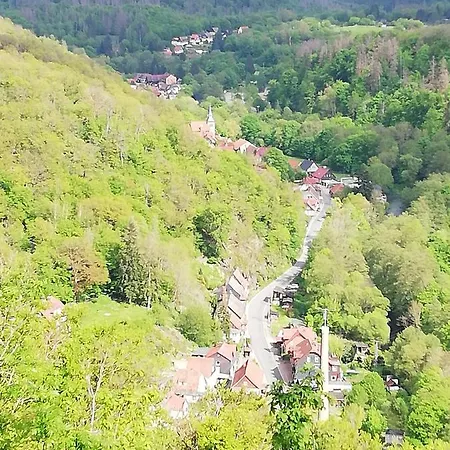 Alte Forsterei *