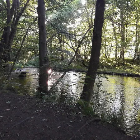 Alte Forsterei דירה *