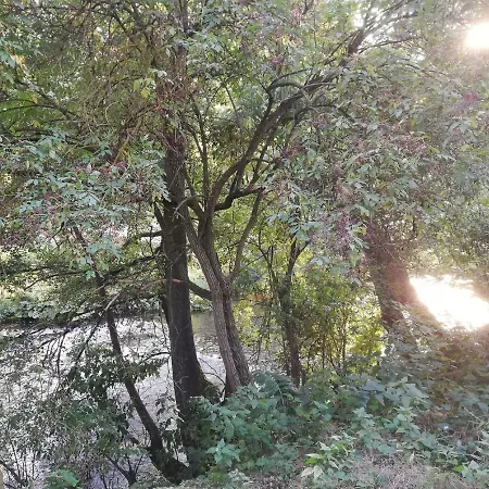 Alte Forsterei * אלטנבראק