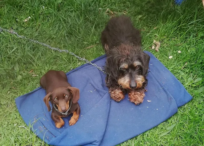 Apartmán Alte Forsterei *