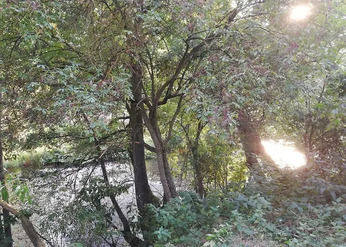 Alte Forsterei * 阿尔滕布拉克